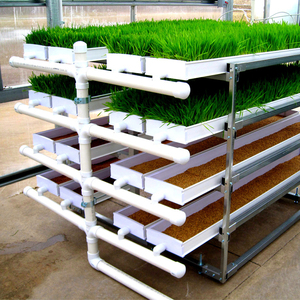Sistema di coltivazione idroponica interna areoponica Microgreens semi di grano in PVC sistema di foraggio - Product Image 1