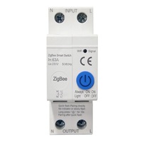 Interrupteur intelligent ZigBee Tuya pour maison connectée, 100-240V 50/60Hz, télécommande sans fil par téléphone portable, disjoncteur