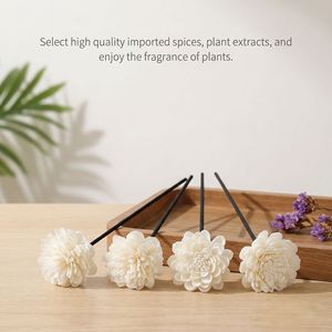 Hundred Secrets <b>Reed</b> <b>Diffuser</b> Sticks White Dried Flower 30cm Vase Flowers Indoor Fragrance <b>Diffuser</b> Set - Product Image 4