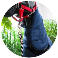 Licol de haute qualité réglable, en polypropylène tissé durable, pour bétail et chevaux, plusieurs couleurs