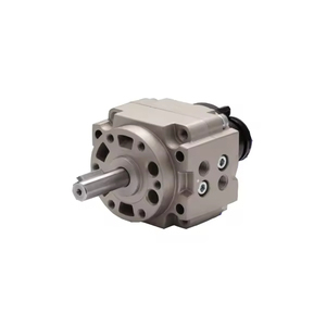 Actionneur pneumatique à palette rotative de type cylindre pour bras robotique d'usine série CRB1BW, pièce de rechange CRB1 - Product Image 4