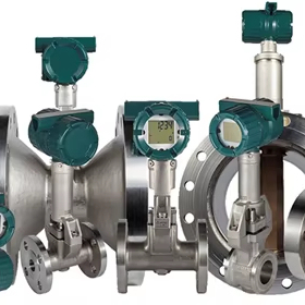 Medidor de Flujo Digital Yokogawa Serie (DY015/DY025/DY040/DY050/DY080) Integral/Remoto MV R1 SS316L para Líquido/Aire/Agua/Aceite/Gas - Product Image 2