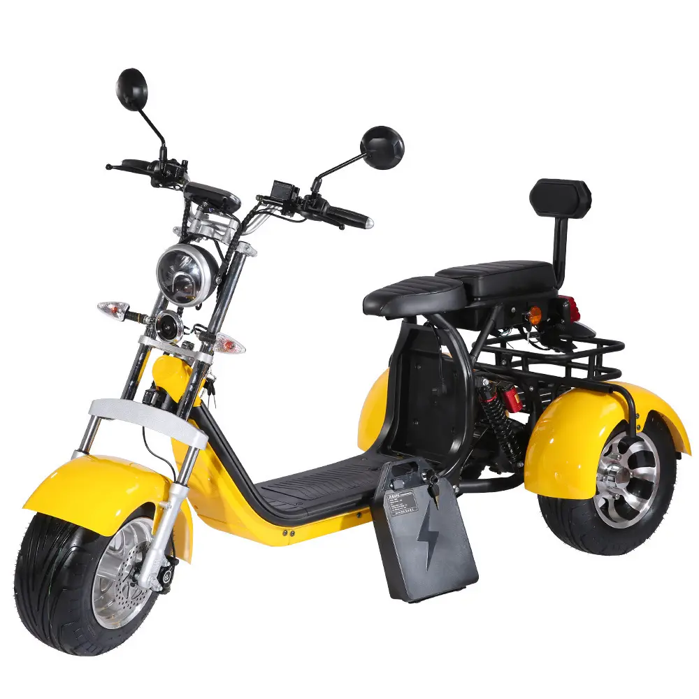 Tricycle electric 3 wheel electric tricycle motorcycle and 3 wheels electric bike with roof electric tricycle