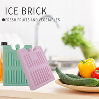 Sac isotherme et boîte à glace en gel réutilisable de qualité alimentaire pour l'expédition de denrées alimentaires, les barbecues et les pique-niques