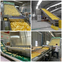 Déshydrateur industriel de fruits, machine de lavage et de séchage de dattes, équipement de séchage pour olives, prunes et pruneaux