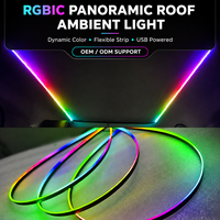 Kit d'éclairage d'ambiance pour toit ouvrant de voiture 12V 5W, bande acrylique à effet de défilement, lampe de décoration dissimulée, colorée, vente en gros usine