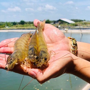 Bán sỉ giá chống UV thiết kế hiện đại <span class=keywords><strong>HDPE</strong></span> EPDM <span class=keywords><strong>geomembrane</strong></span> cho ngoài trời/dam Tank lót chống UV tính năng - Product Image 4