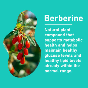 Cápsulas de Berberina OEM ODM con extracto de té verde y Berberina HCL. Mantienen los niveles de glucosa. Mejoran la función metabólica general. - Product Image 4