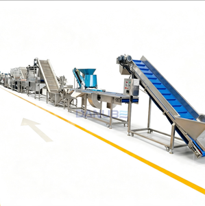 PLC Controlled Continuous Onion Frying Line Industrial Onion Chips Processing Equipment - Product Image 1