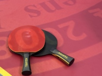 Juego de Raquetas de Tenis de Mesa Más Vendido de Fábrica con Mango de Fibra de Carbono Negro de 1.28 cm de Grosor, Duradero