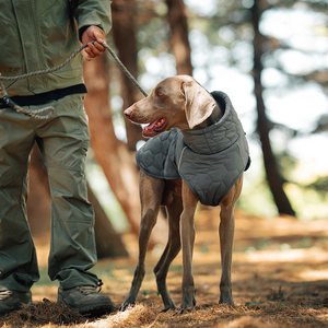 El Diseño de Felpa Es Súper Cálido y Adecuado para Actividades al Aire Libre y para Perros Medianos y Grandes en Invierno. - Product Image 4