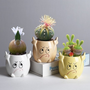 Maceta de Cerámica con Diseño de Personajes de Dibujos Animados, para Plantas Suculentas, Decoración Personalizada de Escritorio, <span class=keywords><strong>Pequeña</strong></span>, para Expresión Creativa Transfronteriza - Product Image 1