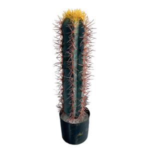 Venta al por mayor de cactus falsos, plantas artificiales de México con precio razonable, decoración del hogar, plantas de cactus artificiales, plantas de plástico del desierto - Product Image 6