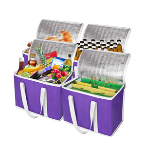 Bolsas Térmicas Impermeables para Comestibles, Bolsa de Reparto de Comida Fría, Paquete de 6 Bolsas Refrigerantes Moradas para Compras, Playa, Picnic, Barbacoa - Product Image 1