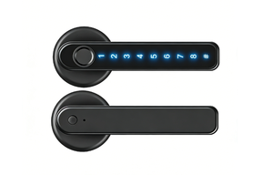 Poignée de porte intelligente à empreinte digitale avec déverrouillage par code/APP/clé - Product Image 3