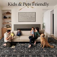 Tapis facile à nettoyer, adapté aux animaux domestiques, 8x10, noir et gris, lavable, antidérapant, pour sols en bois dur, salle à manger, bureau, zone à fort trafic, décoration