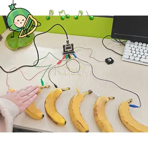 Elektro-Professionelle kreative digitale Miniapiaosysteme für Kinder Puzzle-Spielzeug für die Erziehung Frucht-Pianomusik