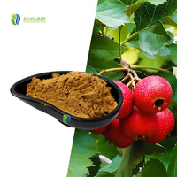 SLBIO Hoogwaardig Voedingsmiddelkwaliteit Gedroogd Hawthorn Fruitpoeder Flavonoïde