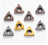 Custom OEM Carbide External Threading Inserts TiN/TiAlN Coated CNC Lathe Turning Tools Anti-wear Thread Cutting Inserts