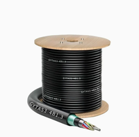 Kabel Serat Optik Berlapis Baja GYXTY Outdoor Central Tube untuk Komunikasi, 4 6 8 12 Core, Promo Hot Sale