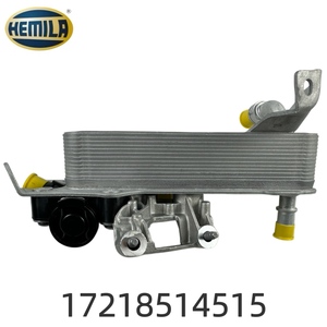 HEMILA Piezas de Vehículos 17218514515 17218607237 Enfriador de Transmisión Enfriador de <span class=keywords><strong>Caja</strong></span> de <span class=keywords><strong>Cambios</strong></span> Compatible con <span class=keywords><strong>BMW</strong></span> G30 F30 <span class=keywords><strong>X5</strong></span> Serie 3 - Product Image 5