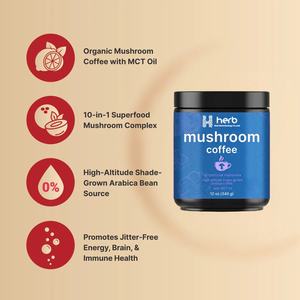 Poudre instantanée de café matcha aux champignons biologiques OEM/ODM, mélange Crinière de lion et Chaga pour la concentration et l'immunité, pour adultes, 5g par portion - Product Image 4