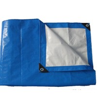 Bâche en plastique PE imperméable, bâche en polyéthylène imperméable, matériau de couverture polyvalent
