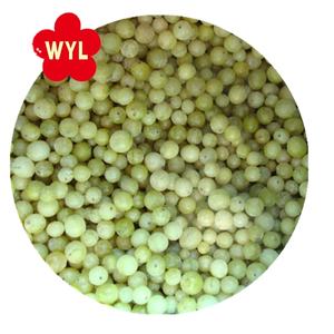 Frutta Cinese Congelata: Groselie Congelate per Succhi - Product Image 2