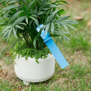 Nhựa Vườn thực vật vườn ươm nhãn màu treo phong cách PVC thẻ - Product Image 5