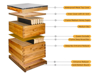 Nueva Caja de Colmena Langstroth Profunda de Observación Automática, 10 Cuadros, Construcción de Madera con Ventana de Cera de Abeja 100% Natural