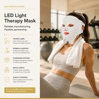 Masque LED à lumière rouge SUNGLOR SGMSKPT, design portable et rechargeable, équipement de bien-être pour usage domestique, fournisseur OEM ODM