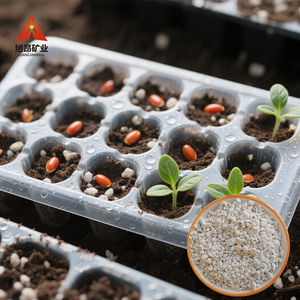 XuAng <span class=keywords><strong>Perlita</strong></span> expandida gruesa de 2-5mm de alta porosidad, <span class=keywords><strong>perlita</strong></span> expandida de celda cerrada térmicamente estable para horticultura - Product Image 3