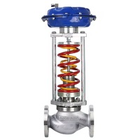 Vanne de régulation Mirabain ZZYP 0-4000 PSI avec jauges Port DN50 pour cylindre et réservoir à vapeur haute température