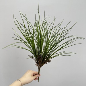 Herbe artificielle Meng Jie avec plume de 30cm-100cm, base en caoutchouc souple, décoration intérieure, verdure - Product Image 4