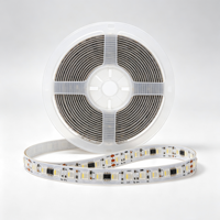 Tira de LED RGBW Programable de 16 bits, 12V 24V |   UCS2904 UCS8904 TM1814 |   Cinta LED Flexible 5050, 60/72/96 LEDs/m Opcionales