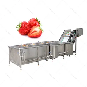 Máquina de lavar roupa industrial de bolhas de ar de ozônio para tomate, manga, cenoura, frutas e vegetais