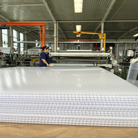Feuille de polycarbonate de haute qualité résistante aux UV, feuille de polycarbonate creuse pour serre