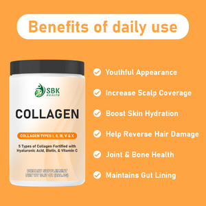 Manufacturer Factory Hydrolyzed Collagen Protein Powder Adult Biotin <b>Supplement</b> to Support Gut Health Boost Skin Hydration - Product Image 5