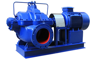 Horizontal Double Suction <b>Pump</b> High Split Case Booster <b>Pump</b> Centrifugal <b>Water</b> <b>Pumps</b> S Horizontal Double Suction <b>Pump</b> S - Product Image 2