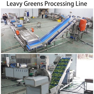 1000-2000kg/h Leavy <b>Vegetable</b> Processing Line Salad Greens Cutting Washing Drying Machine <b>Vegetable</b> Process Line - Product Image 4