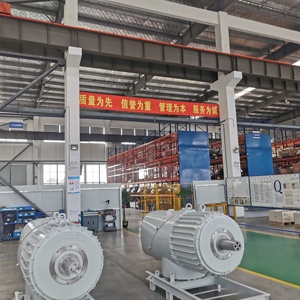 Generador de energía libre con imán permanente para turbina eólica - Product Image 6