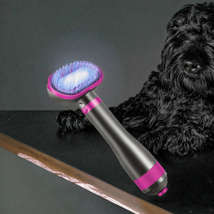 Secador de Pelo 2 en 1 para Mascotas con Cepillo Desenredante y Temperatura Ajustable para Perros Pequeños y Gatos, Fácil de Usar, con Fuente de Alimentación Recargable - Product Image 3