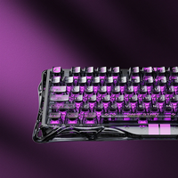 Nouveau clavier de jeu acoustique à commutation personnalisée Blackcore, à commutation à chaud, avec mousse acoustique, transparent noir, filaire, Mercury V75 Lite 2025