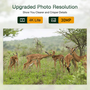 Ứng dụng HC-801ULtra FTP 4G săn bắn Camera ứng dụng kiểm soát video trực tiếp 4k Camera đường mòn động vật hoang dã - Product Image 4