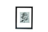Cadre photo A4 en MDF de marque KT, prix d'usine, avec plexiglas, design moderne imperméable - 10x15/20x25cm et plus de tailles - Noir/Blanc