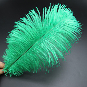 Penne nere di struzzo alla rinfusa-Bulu <span class=keywords><strong>Merak</strong></span> per il carnevale di Samba - Product Image 5