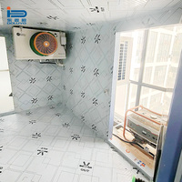 Mini-chambre froide, unité de réfrigération, chambre de refroidissement