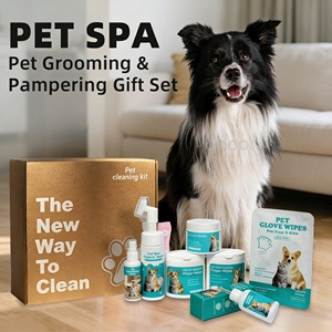 Kit <span class=keywords><strong>de</strong></span> Aseo para Mascotas DEM/DOM Disponible al por Mayor, Juego Completo <span class=keywords><strong>de</strong></span> Toallitas Húmedas para la Higiene <span class=keywords><strong>de</strong></span> Perros y Gatos, para Limpiar Orejas, Ojos, Dientes y Patas, para Tiendas <span class=keywords><strong>de</strong></span> Mascotas - Product Image 6