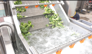 Industrial <b>Vegetable</b> <b>Processing</b> Plant <b>Fruit</b> and <b>Vegetable</b> Washing and Drying <b>Machine</b> for Sale in Vietnam - Product Image 6