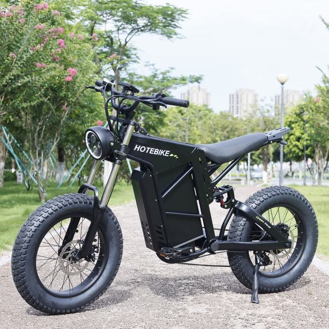 High Power Bicycle Mountain Bike with Electric 1000w Electric Motorcycle 7 Speed 20 Inch Fast E-bike